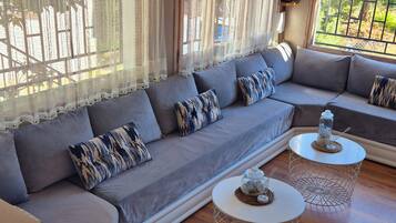 TV, fireplace, stereo