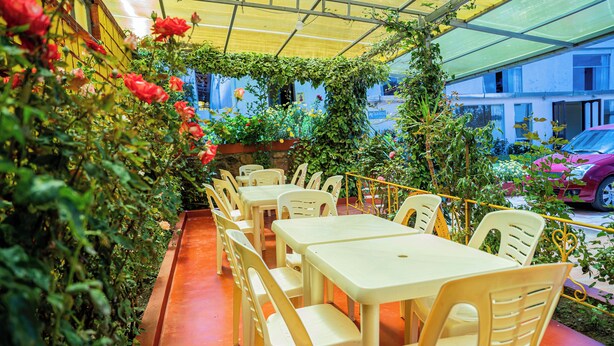 Un café al aire libre con mesas y sillas de plástico blanco, rodeado de exuberante follaje y plantas con flores.