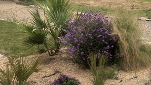 Un jardin doté d’une terrasse en bois, de différentes plantes et d’un mur en pierre.