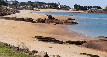 Typical Breton house in the Lannion region between sea and countryside in a quiet location