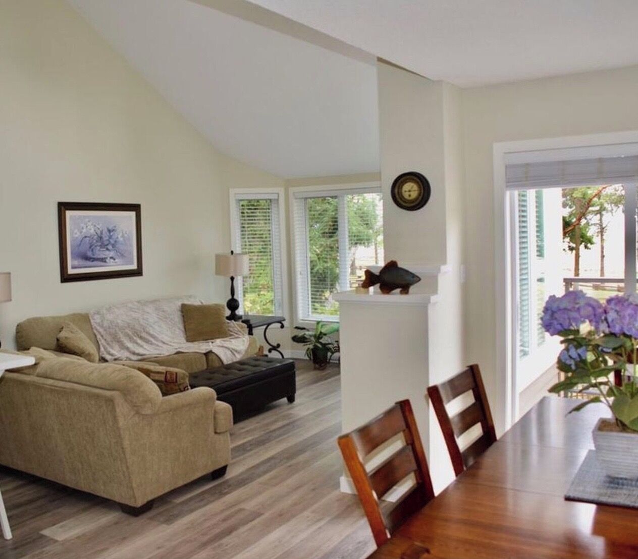 Smart TV, lareira, livros