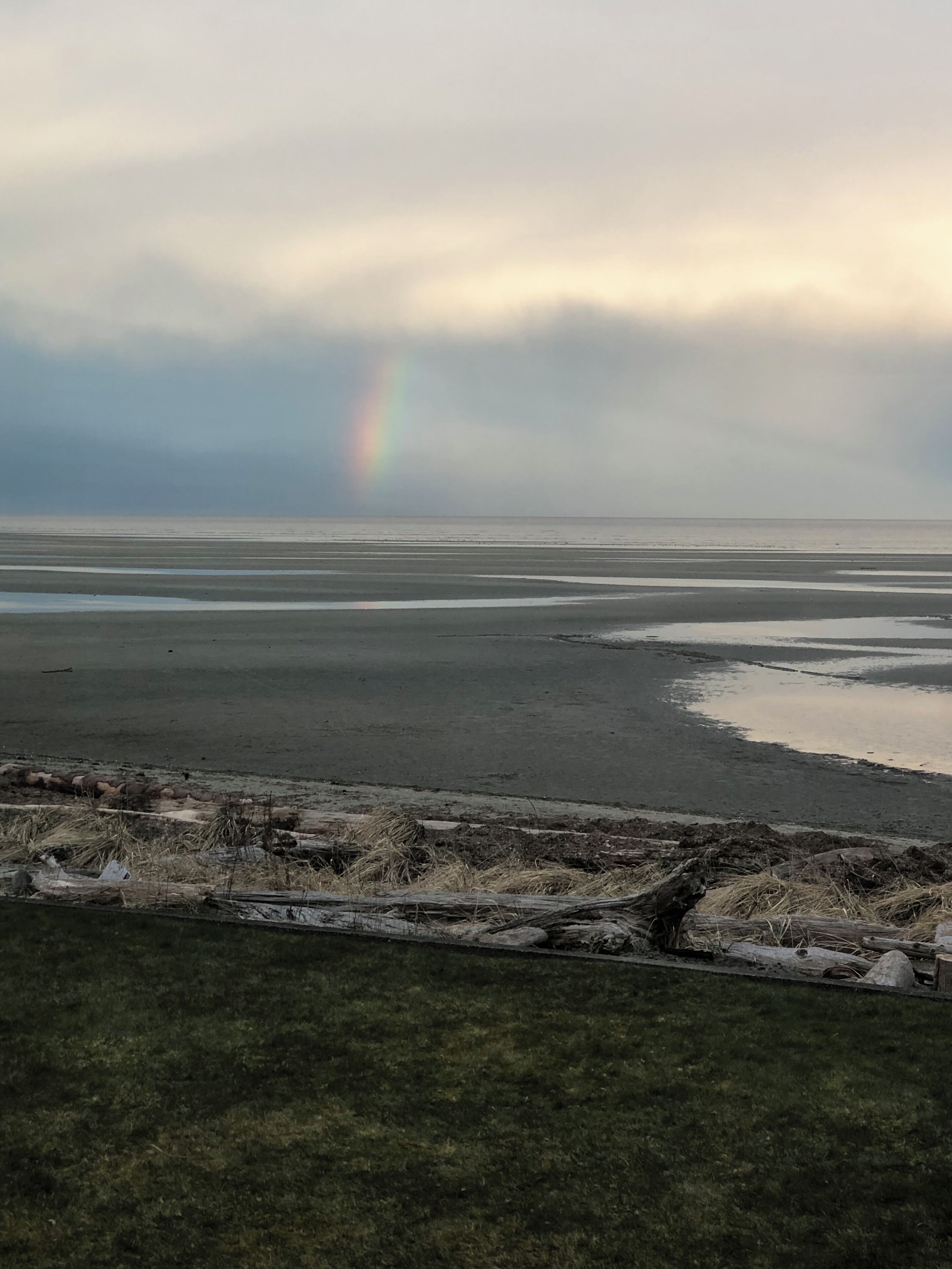 Plage, chaises longues, serviettes de plage