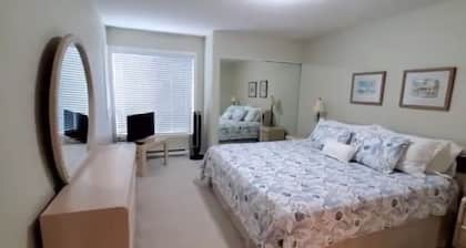 #17 Tanglewood Pl - 2bd 2bth BEACH FRONT 2-level unit - Beach, sun, sand & relax