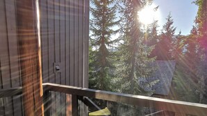 A wooden balcony with a glass railing overlooking a forested area.