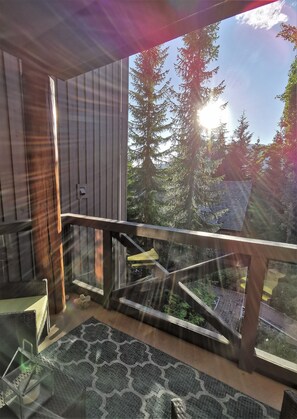 Property grounds - True SKI IN-OUT townhome: 100’ to slopes (HOT TUB, FP, WD) (Whistler)