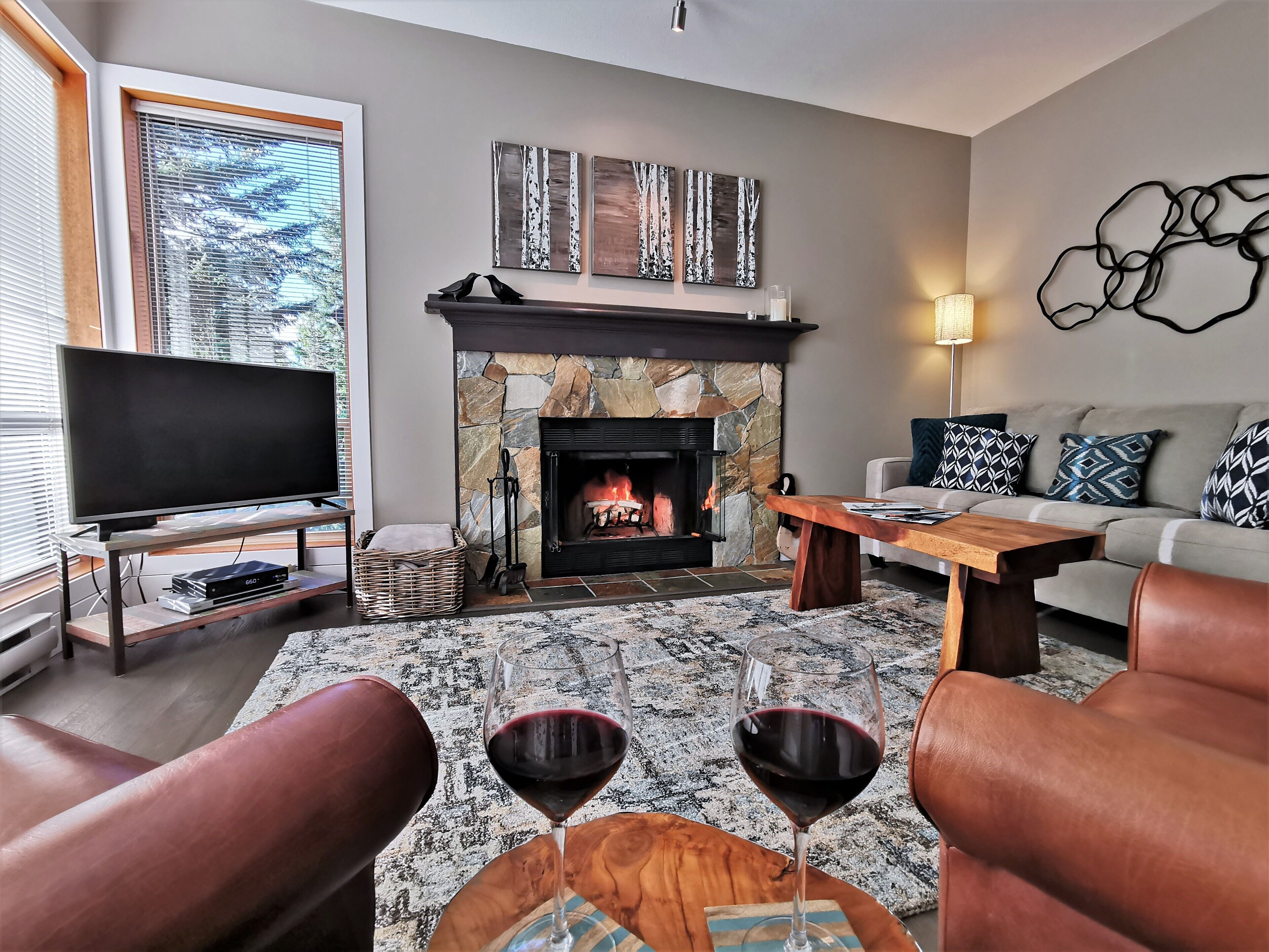 Télévision à écran plat, cheminée, lecteur de DVD