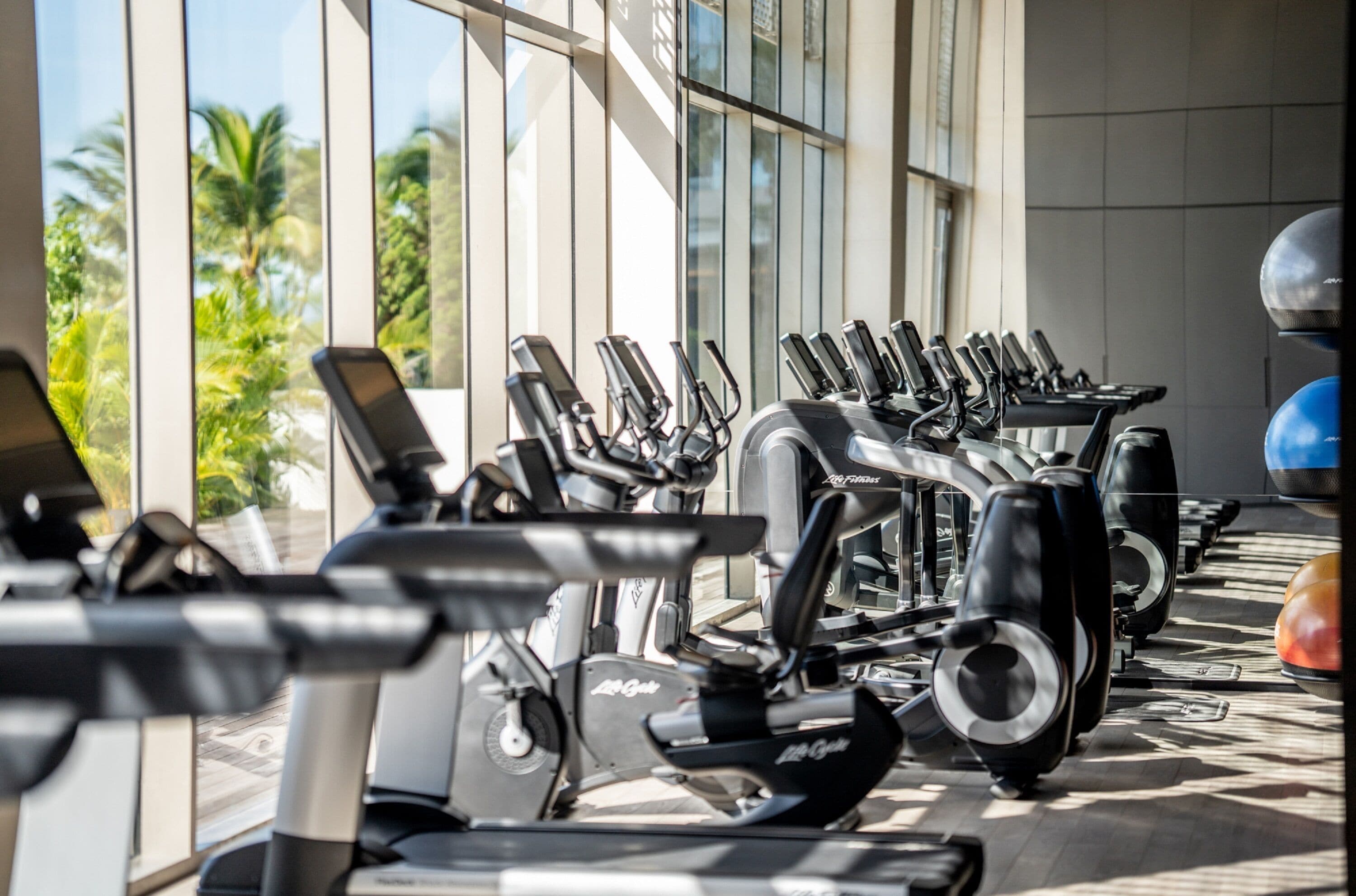 A row of stationary bikes in a gym with large windows and a view of palm trees.