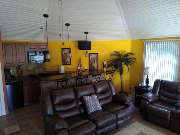 Smart TV, Netflix, streaming services