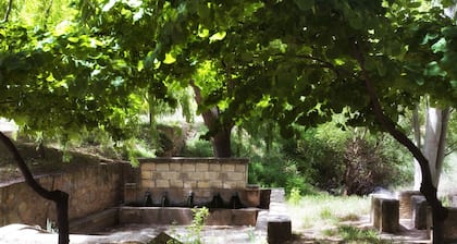 La Boutique Espacio Rural (Rural, Gastronomic, Playful Experiences, etc ...)