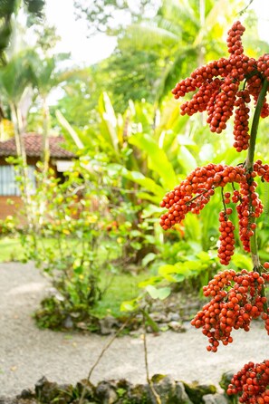 Stroll through a serene garden surrounded by lush greenery and vibrant flowers, featuring a picturesque cluster of berries.