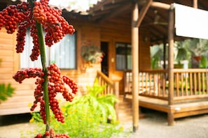 Eine Holzhütte mit Veranda, Treppe und Pflanze im Vordergrund.