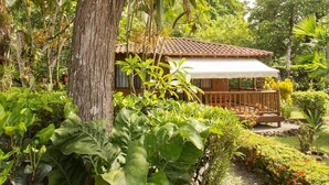Una casa rodeada de abundante vegetación, con un gran árbol en primer plano y un patio al fondo.