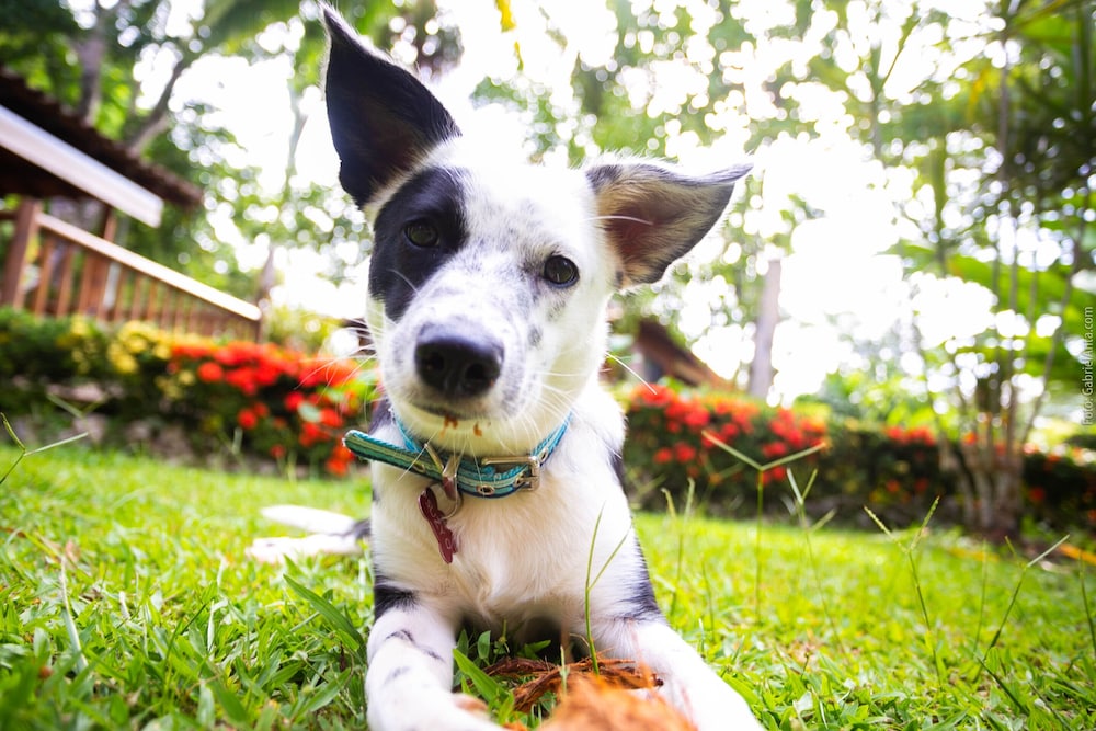 Casa Marcellino by null