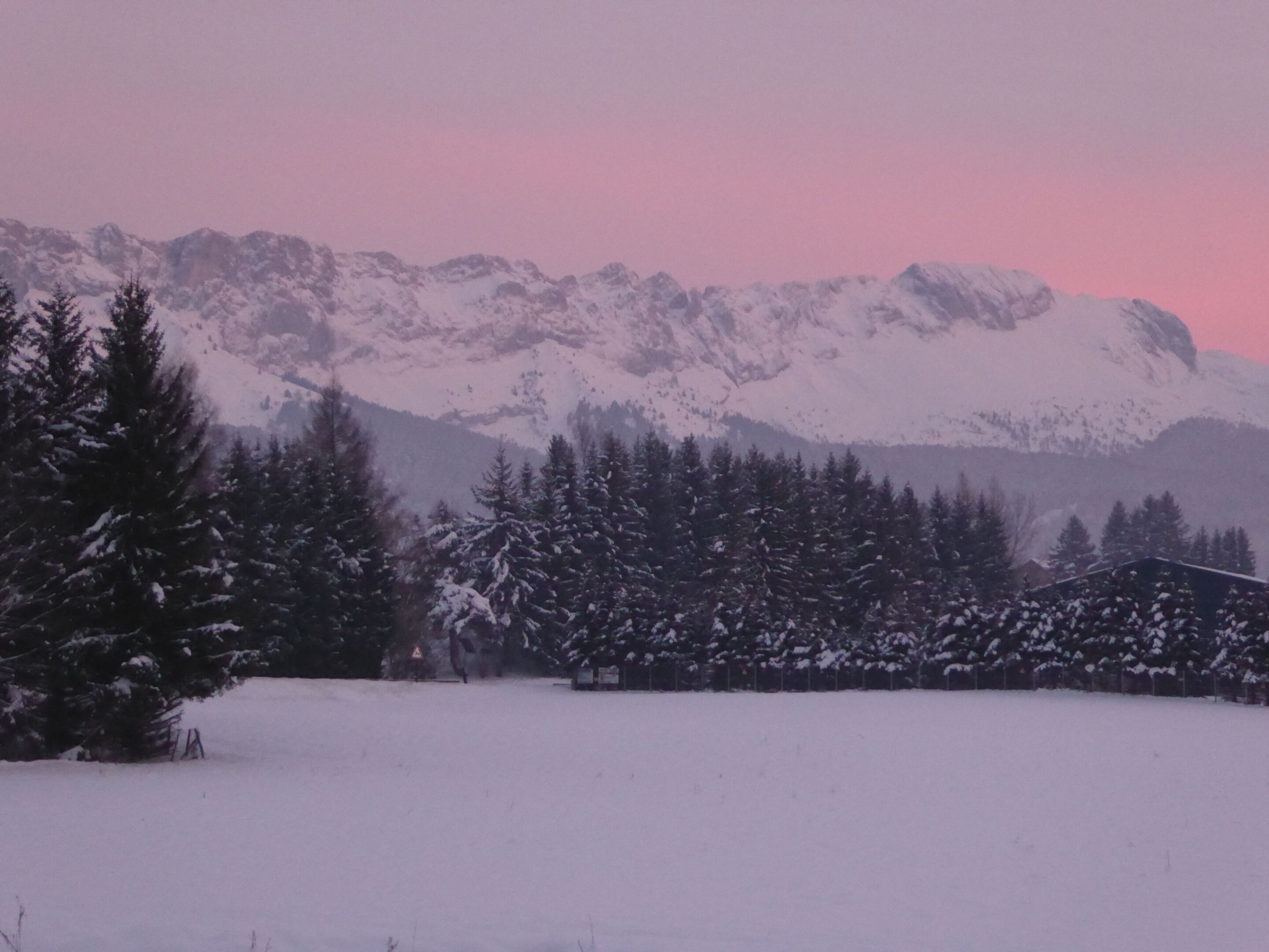 Paisagem nevada com uma cordilheira ao fundo e uma floresta de árvores cobertas de neve em primeiro plano.