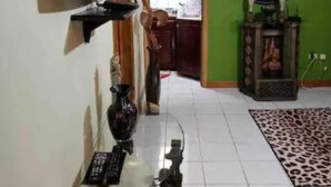 A room with a television mounted on the wall, a small table with a vase and a remote control, a decorative mirror on the floor, and a leopard print rug.