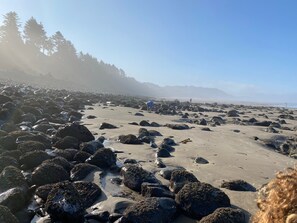 Sun-loungers, beach towels