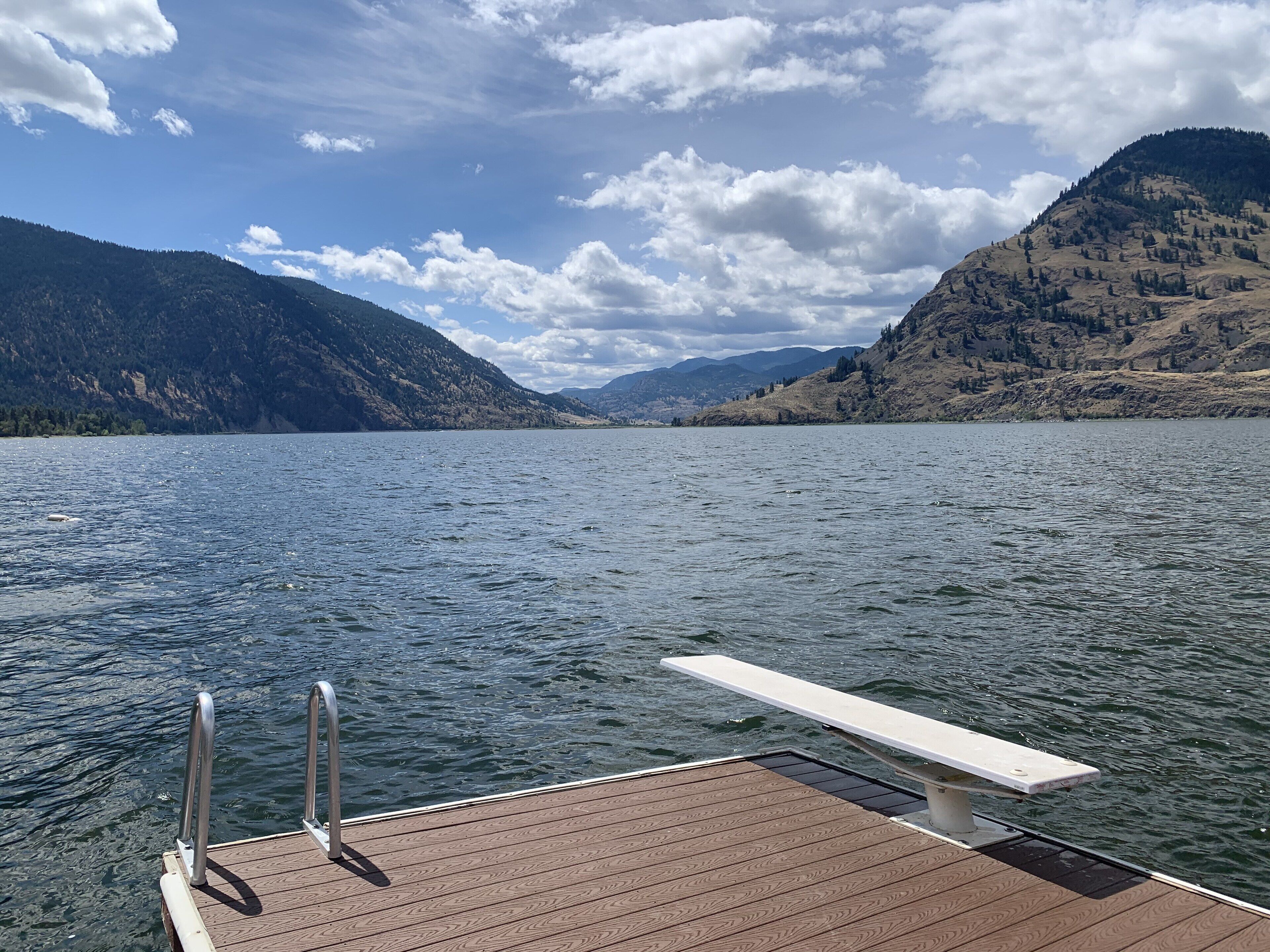 Private dock. Diving board and ladder