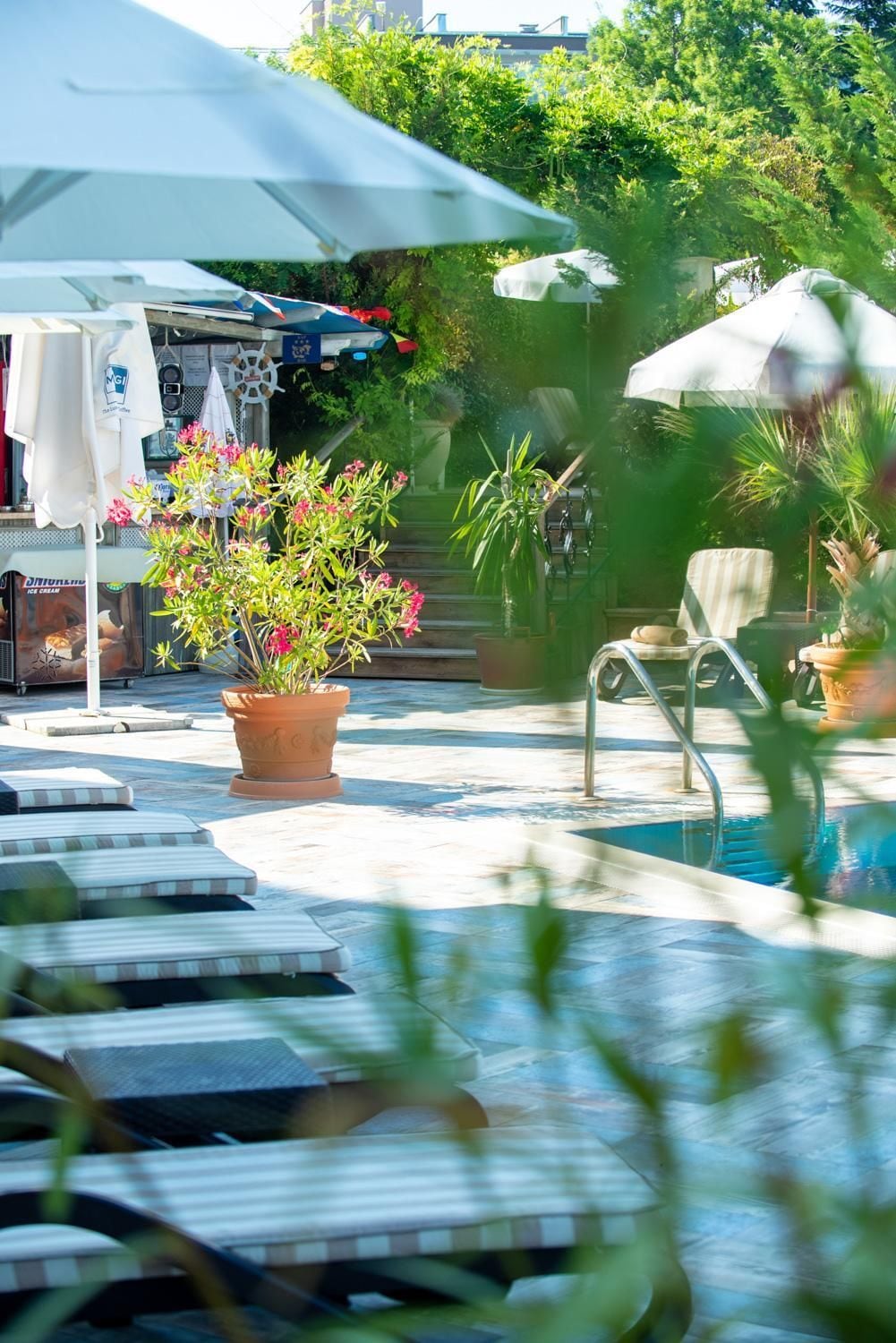Un área junto a la piscina con sillones de descanso, sombrillas y plantas en macetas.