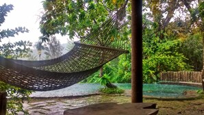 A hammock hanging from a tree in a lush garden setting. - Annapara Home Stay (Vythiri)