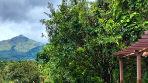 A lush garden with stone pathways, a wooden pergola, and a mountain backdrop. - Annapara Home Stay (Vythiri)