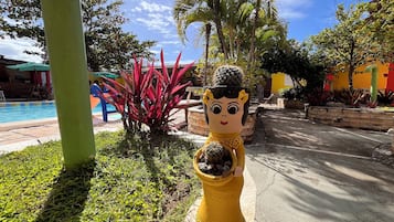 Recepção