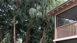 A building with a balcony and a view of palm trees and other greenery.