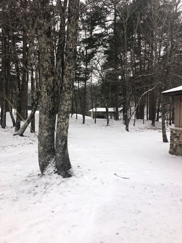 المنطقة المحيطة بالمنشأة