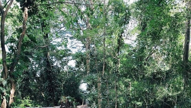 Ảnh chưa phân loại, 1 trong số 51 ảnh, nút