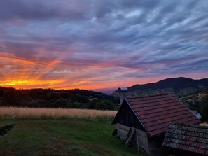 Exterior - House on the mountain with wellness area, bar and panorama (Bühlertal)