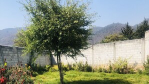 Un'area verde con erba, un albero, un muretto in pietra e diverse piante fiorite.