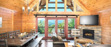 Télévision, cheminée, jeux vidéo