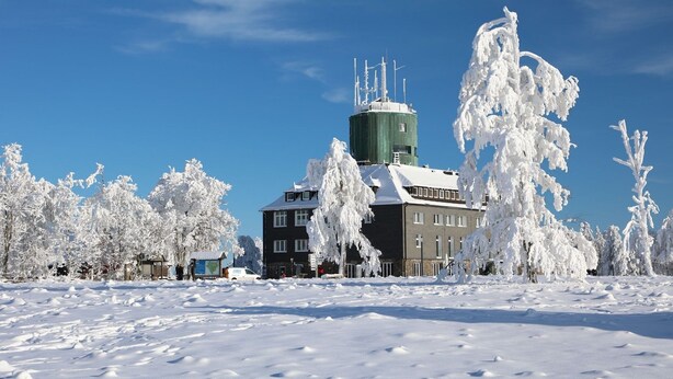 Un edificio con una torre verde, rodeado de árboles cubiertos de nieve.