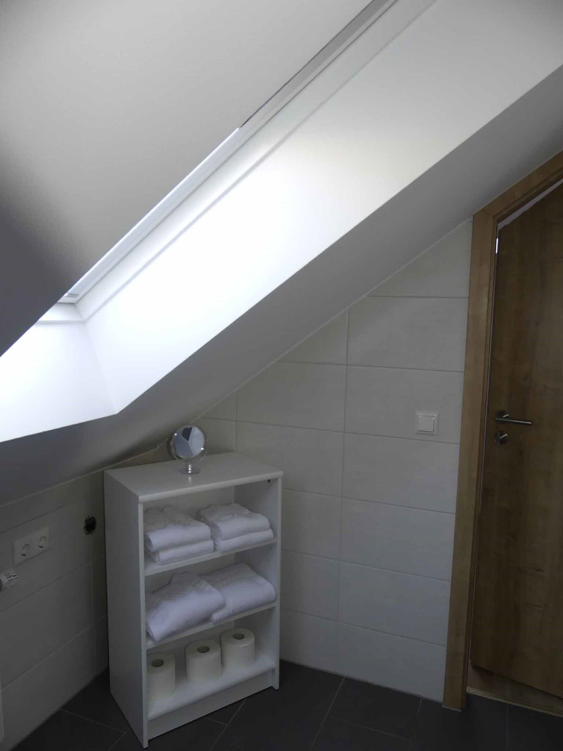 A corner bathroom with a skylight, a white shelf with towels and toilet paper, and a wooden door.