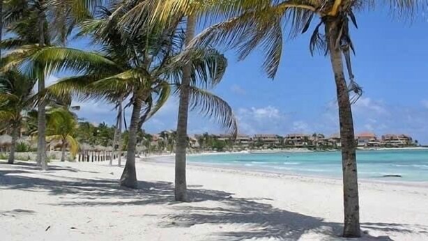 A beach with palm trees and a resort in the background. - Villa Corazon Deluxe (Puerto Aventuras)