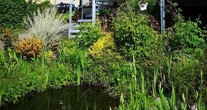 Ferienwohnung Blütentraum