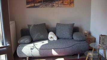 Lejlighed | Opholdsområde | 42-tommers fladskærms-tv med satellitkanaler, tv, pejs