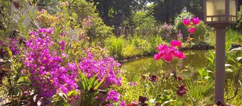 Ferienwohnung Blütentraum