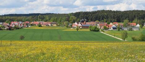 Paisaje rural con un campo de flores amarillas, casas con techos rojos y un bosque al fondo.