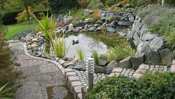 Un jardín con un estanque, un sendero de piedra y diversas plantas.