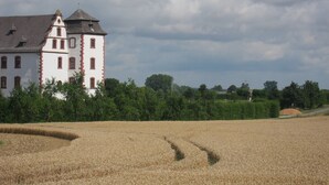 A large white building with a tower, surrounded by a field of crops.