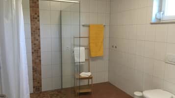 Apartment | Bathroom | Shower, hair dryer, soap, toilet paper