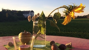 A table with a candle, a glass jar with a flower, and fruits on a green mat.