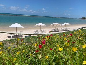 En la playa, camastros y toallas de playa 