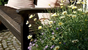 A wooden bench with two pillows, surrounded by a garden with yellow and purple flowers. - Ferienwohnung Mia (Winterberg)