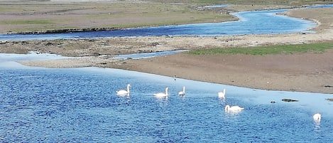 沙滩椅、沙滩毛巾