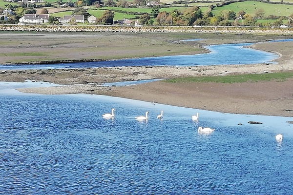 Sun loungers, beach towels