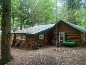 Situated in a forested area, this cabin features a pitched roof and chimney, with a ladder for easy access.