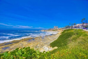 A coastal landscape with a rocky shoreline, a grassy area with plants, and a clear blue sky. - Perfect Sunsets - Unobstructed views of the ocean (La Jolla)