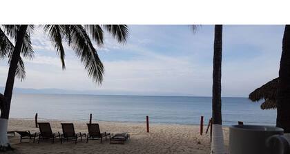 Disfruta playa de Puerto Vallarta