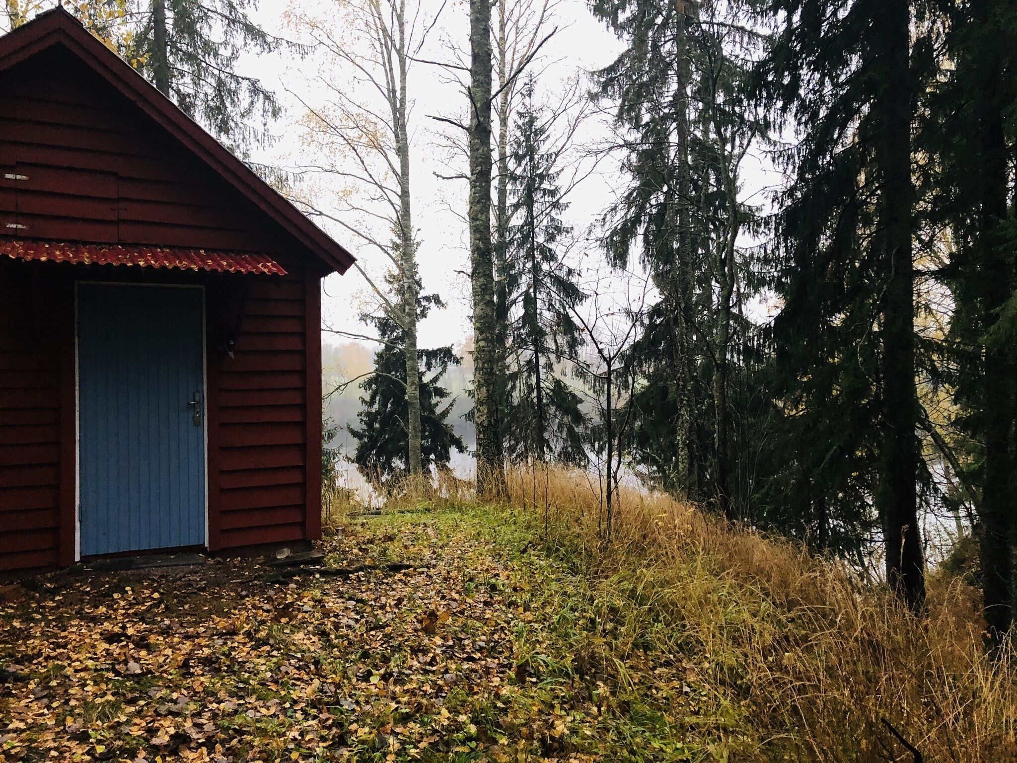 Cabin | Property grounds